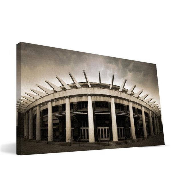 Paulson Designs Virginia 16x36 John Paul Jones Arena Canvas VAJPJ1636